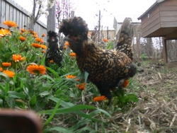 spring-sep-2010-23