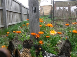 spring-sep-2010-25