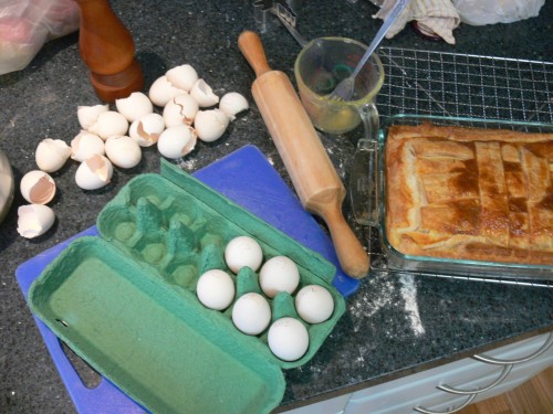 spring-sep-2010-eggs