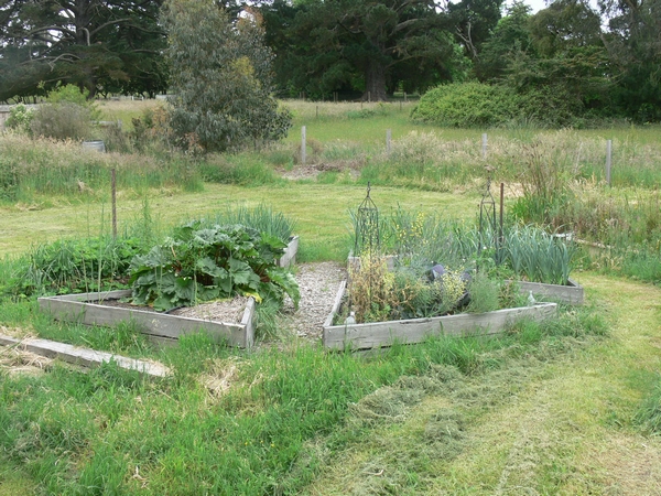 2011-11-vege-patch