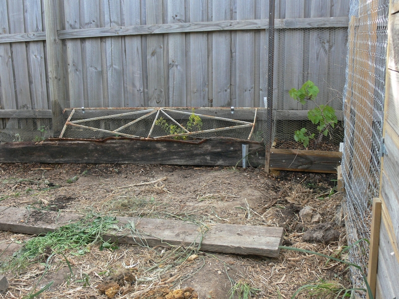 2012-11-chook-run-south