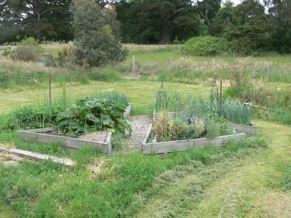 2011-11-vege-patch-parterre