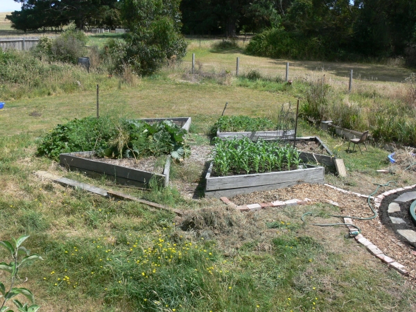 2012-01-vege-patch-parterre