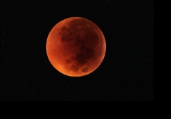 Total Eclipse of the Moon
