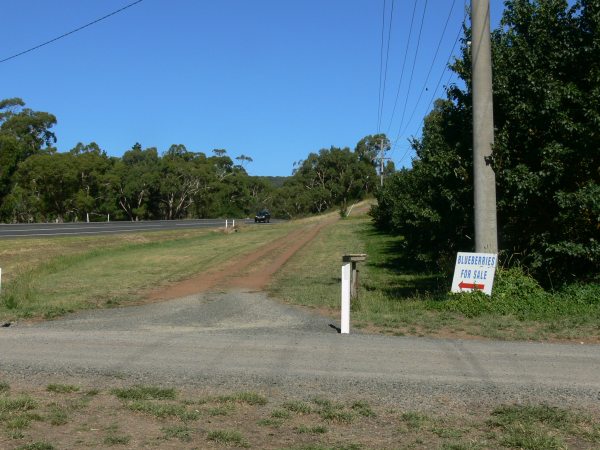 blueberry-farm-sign3
