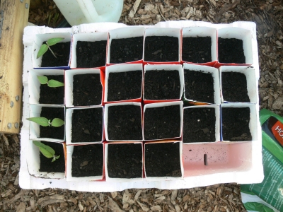 2011-09-proagating-1